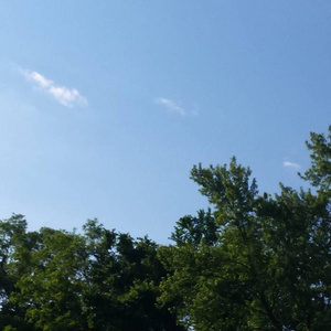 爱爱女学生在线
