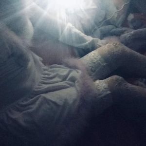 爱爱女学生在线
